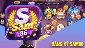 Hướng dẫn quy trình đăng ký SAM86 chi tiết và dễ hiểu